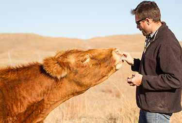 Sandhills, ranch, Cornerstone Grazing